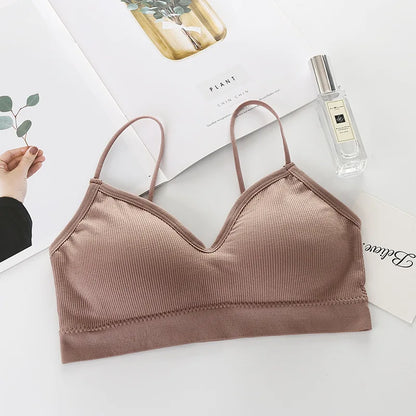 H35d9173e5a434ccf8ee682fdd2cd0235U